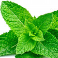 Incense and Mint