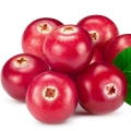 Red Berries and Green Notes