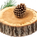 Cedar and Incense