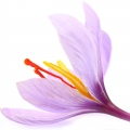Saffron and Thyme