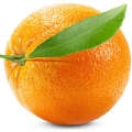 Bitter Orange and Galbanum